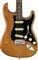 Fender American Pro II Stratocaster Rosewood Neck Roasted Pine w/Case Body View